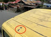 Satu Truk Berisi Sopir dan Helper Tertinggal Saat Ditembaki OTK di Puncak Jaya, Begini Nasibnya