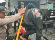 Hamburkan Jualan Sayur Mama Papua di Jalan Busiri Ujung, Seorang Pemuda Diamankan Polisi