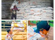 Lolos Pemeriksaan Karantina, 250 Ton Beras Asal Surabaya Masuk ke Timika
