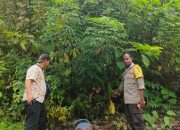 IMG 20250324 WA0037