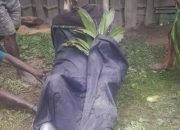 Baku Tembak di Pos Titigi, Okto Zanambani Tewas
