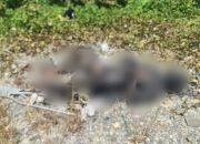 Empat Hari di Ruang Jenazah, Identitas Mayat Gosong yang Ditemukan di Jalan Petrosea Belum Terungkap
