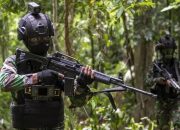 Breakingnews : 18 Anggota OPM Dilaporkan Tewas Dalam Kontak Tembak dengan Aparat TNI di Intan Jaya
