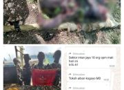 Termasuk Aibon Kogoya, 18 Anggota OPM yang Tewas Ternyata Pelaku Pembantai Pekerja Tower di Intan Jaya Tahun 2022