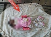 Pelaku Pembuangan Bayi di RSUD Mimika Berhasil Diungkap