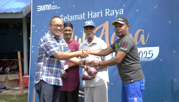 Hari Raya Iduladha 1446 H, PLN Papua Salurkan 35 Hewan Kurban kepada 2.890 Penerima Manfaat