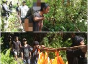 Usai Bantai Anggota Kodim Yahukimo, KKB Aniaya Satu Warga Sipil Hingga Tewas, Seorang Lagi Kritis