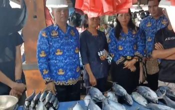 Pengurus Pasar Sentral Timika Temukan Zat Pewarna yang Digunakan Oknum Pedagang Ikan