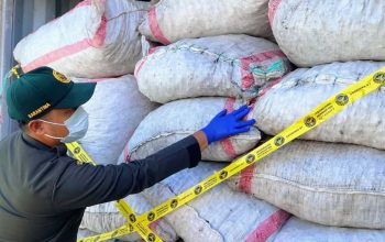 Kopra Papua Tengah Diminati Pasar Nasional, 31 Ton Dikirim ke Surabaya Melalui Pelabuhan Pomako Timika