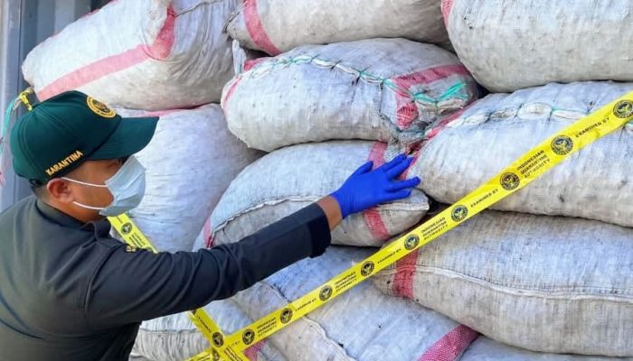 Kopra Papua Tengah Diminati Pasar Nasional, 31 Ton Dikirim ke Surabaya Melalui Pelabuhan Pomako Timika