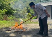 Polisi Musnahkan Lebih dari 5 Kilogram Ganja dari Dua Kasus di Jayapura