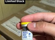 10 Dosis Dijual Rp 1,5 Juta, Mimika Belum Datangkan Vaksin AVAC ASF LIVE Pencegah Kematian Mendadak pada Ternak Babi