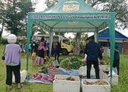 Kios Pangan Subsidi di Mimika Gencar Promosikan Pangan Lokal, Harga Jual Produksi Petani OAP Naik 50 Persen