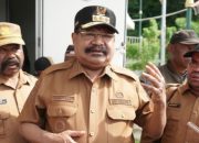 Hasilnya Dipasok ke Timika, Pemprov Papua Pegunungan Dorong Warga 8 Kabupaten Bertani Lagi