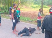 Pengendara Motor Meninggal Tertimpa Pohon Tumbang di Abepura Jayapura