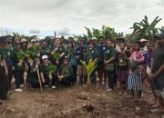 Dukung Peningkatan Hasil Petani, TP PKK Mimika Salurkan Bantuan Pupuk dan Bibit ke Kelompok Tani Naena Muktipura dan Kamoro Jaya