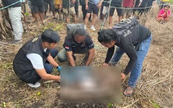 Sarmi Geger, Seorang Bayi Diculik Lalu Dibunuh, Petunjuk Atap Seng Tutupi Gundukan Tanah