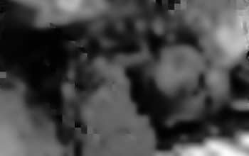 Diduga Diperkosa Sebelum Dibunuh, Polisi Temukan Luka Gorok di Leher Jenazah Belakang Kantor Agama Timika