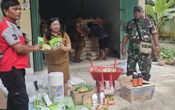 Dinas Pertanian Mimika Salurkan Bantuan Pupuk dan Bibit kepada Tiga Kelompok Tani di Kampung Nawaripi