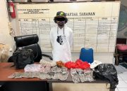 Polisi Amankan 500 Gram Ganja di Pelabuhan Laut Jayapura
