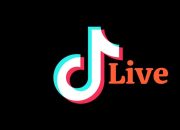 Fitur Live TikTok Masih Diblokir Hingga Awal September 2025, Penjualan Online di Timika Ikut Terkena Imbas