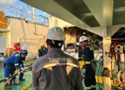 Gangguan Layanan Telkomsel dan IndiHome Pengaruhi Ratusan Ribu Pelanggan di Papua