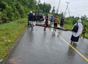 Buntut Kemelut Lahan Pelabuhan Pomako, Konteiner Disegel Pemenang Gugatan di PTUN, Anggota TKBM Palang Jalan Masuk