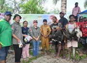 Perjalanan Penuh Makna Menyusuri Kampung-kampung Pesisir Bersama drh. Sabelina Fitriani, Harapan Baru untuk Peternak OAP Mimika