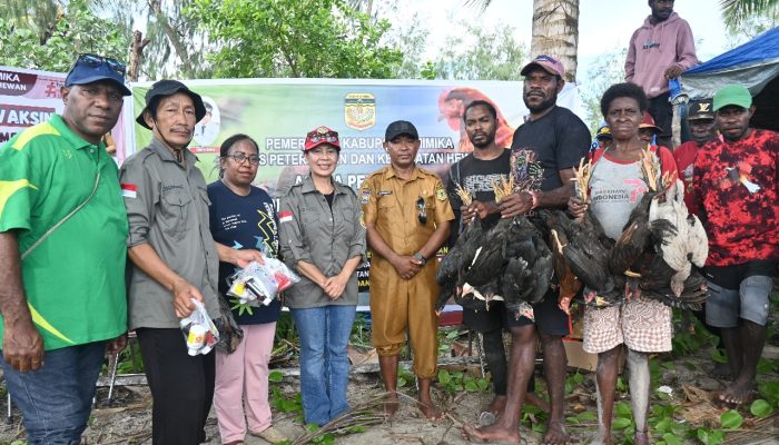 Perjalanan Penuh Makna Menyusuri Kampung-kampung Pesisir Bersama drh. Sabelina Fitriani, Harapan Baru untuk Peternak OAP Mimika