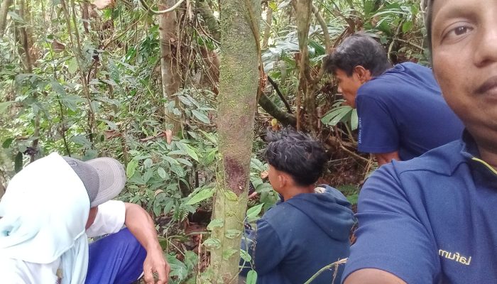 Setelah 12 Jam Dalam Pencarian, Lima Warga yang Tersesat di Hutan Iwaka Ditemukan Selamat