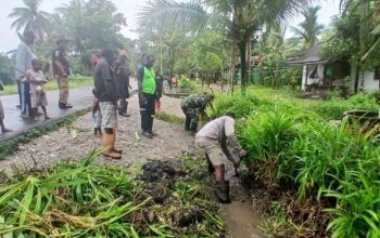 Warga Tipuka MImika Bersihkan Drainase Berantas Jentik Nyamuk Malaria