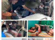 KKB Aibon Kogoya Berulah di Nabire, Satu Korban Tewas dan Empat Luka Terkena Tembakan