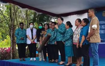 TP PKK Mimika Komitmen Perkuat Posyandu, Suzy Rettob Harap Layanan Jangkau Wilayah Terpencil