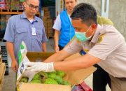 11,5 Ton Komoditas Buah dan Produk Susu Masuk ke Timika