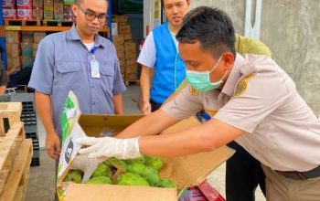 11,5 Ton Komoditas Buah dan Produk Susu Masuk ke Timika