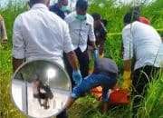 Anak Perempuan Korban Penculikan di Merauke Ditemukan Meninggal Dengan Luka Bacok