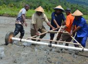 Tanam Padi Sawah, Bupati Nyatakan Lembah Grime Jadi Lumbung Pangan