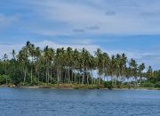 Sekedar Mimpi, Seandainya Potowayburu Jadi Ibu Kota Kabupaten Mimika – Sejuta Keunggulan yang Terlupakan